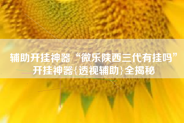 辅助开挂神器“微乐陕西三代有挂吗	”开挂神器{透视辅助}全揭秘