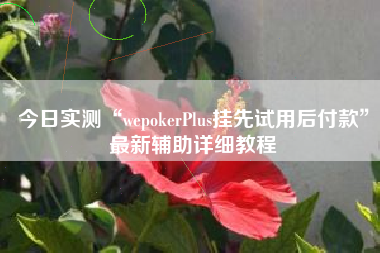今日实测“wepokerPlus挂先试用后付款”最新辅助详细教程