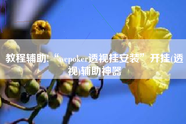 教程辅助!“wepoker透视挂安装	”开挂(透视)辅助神器