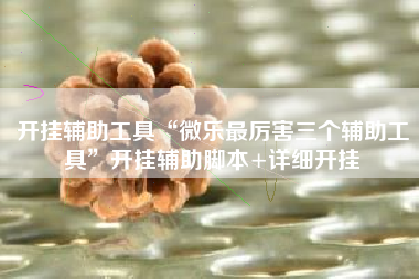 开挂辅助工具“微乐最厉害三个辅助工具”开挂辅助脚本+详细开挂