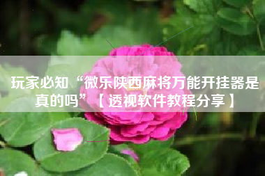 玩家必知“微乐陕西麻将万能开挂器是真的吗”【透视软件教程分享】