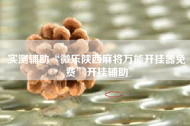 实测辅助“微乐陕西麻将万能开挂器免费”开挂辅助