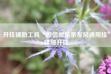 开挂辅助工具“微信微乐亲友房通用挂”详细开挂