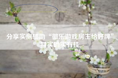 分享实测辅助“微乐游戏房主给好牌”其实确实有挂