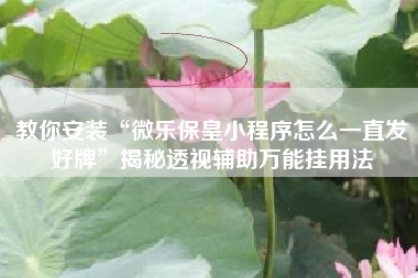 教你安装“微乐保皇小程序怎么一直发好牌”揭秘透视辅助万能挂用法