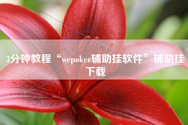 3分钟教程“wepoker辅助挂软件”辅助挂下载