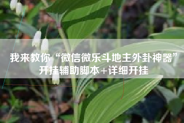 我来教你“微信微乐斗地主外卦神器”开挂辅助脚本+详细开挂