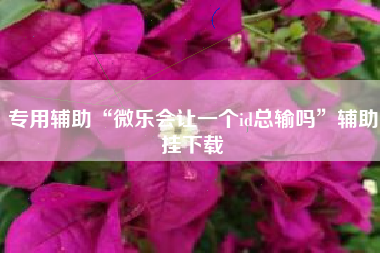 专用辅助“微乐会让一个id总输吗”辅助挂下载