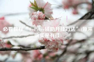 必看教程“WePoker辅助开挂方法”(原来确实是有挂)