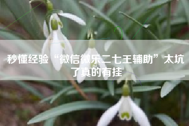 秒懂经验“微信微乐二七王辅助	”太坑了真的有挂