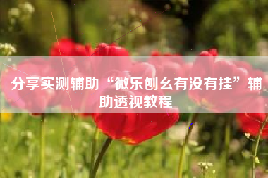 分享实测辅助“微乐刨幺有没有挂”辅助透视教程