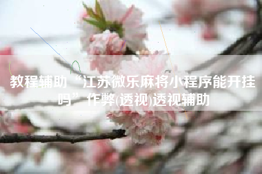 教程辅助“江苏微乐麻将小程序能开挂吗	”作弊(透视)透视辅助