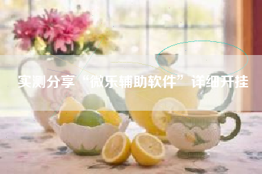 实测分享“微乐辅助软件”详细开挂