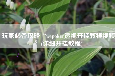 玩家必备攻略“wepoker透视开挂教程视频”(详细开挂教程)
