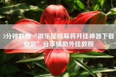 3分钟教程“微乐捉鸡麻将开挂神器下载安装”分享辅助外挂教程