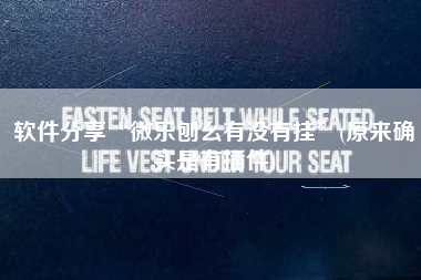 软件分享“微乐刨幺有没有挂”(原来确实是有插件)