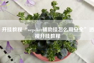 开挂教程“wepoker辅助挂怎么用安全	”透视开挂教程