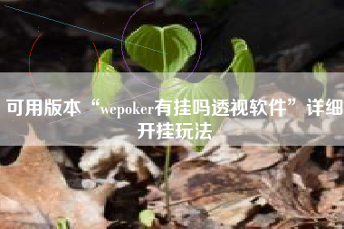 可用版本“wepoker有挂吗透视软件	”详细开挂玩法