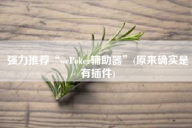 强力推荐“wePoker辅助器	”(原来确实是有插件)