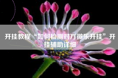 开挂教程“如何检测对方微乐开挂”开挂辅助详细