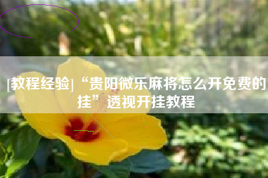 [教程经验]“贵阳微乐麻将怎么开免费的挂”透视开挂教程