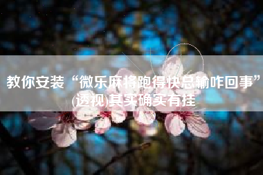 教你安装“微乐麻将跑得快总输咋回事”(透视)其实确实有挂