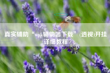 真实辅助“wpk辅助器下载	”(透视)开挂详细教程