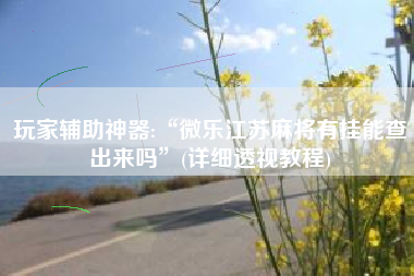 玩家辅助神器:“微乐江苏麻将有挂能查出来吗	”(详细透视教程)