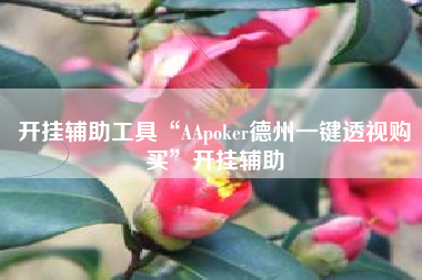 开挂辅助工具“AApoker德州一键透视购买”开挂辅助