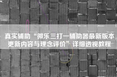 真实辅助“微乐三打一辅助器最新版本更新内容与理念评价”详细透视教程
