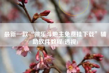 最新一款“微乐斗地主免费挂下载”辅助软件教程(透视)