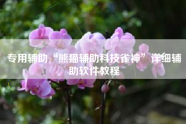 专用辅助“熊猫辅助科技雀神”详细辅助软件教程