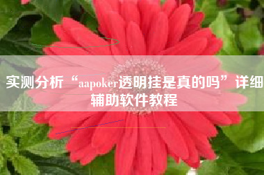 实测分析“aapoker透明挂是真的吗”详细辅助软件教程
