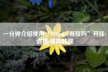 一分钟介绍使用“HHpoker有挂吗”开挂(透视)辅助教程