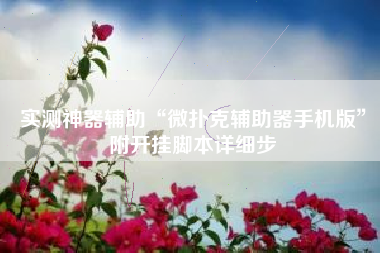 实测神器辅助“微扑克辅助器手机版”附开挂脚本详细步