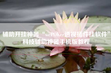辅助开挂神器“wePOKer透视插件挂软件”科技辅助神器手机版教程