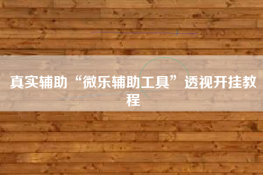 真实辅助“微乐辅助工具	”透视开挂教程