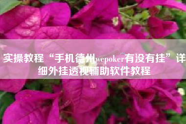 实操教程“手机德州wepoker有没有挂”详细外挂透视辅助软件教程