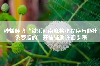 秒懂经验“微乐河南麻将小程序万能挂免费版的”开挂辅助详细步骤