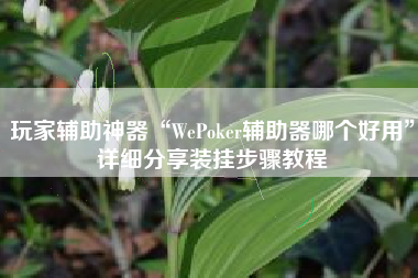 玩家辅助神器“WePoker辅助器哪个好用”详细分享装挂步骤教程