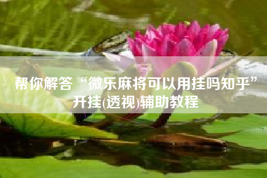 帮你解答“微乐麻将可以用挂吗知乎	”开挂(透视)辅助教程