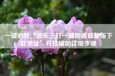 一键必胜“微乐三打一辅助器最新版下载地址”开挂辅助详细步骤