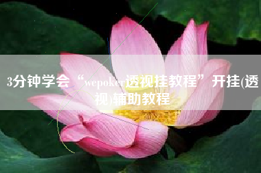 3分钟学会“wepoker透视挂教程	”开挂(透视)辅助教程