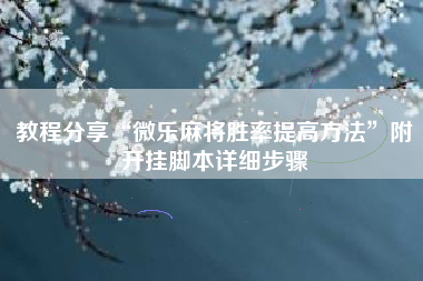 教程分享“微乐麻将胜率提高方法”附开挂脚本详细步骤