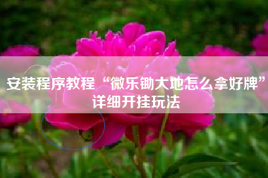 安装程序教程“微乐锄大地怎么拿好牌”详细开挂玩法