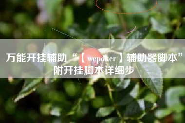 万能开挂辅助“【wepoker】辅助器脚本	”附开挂脚本详细步