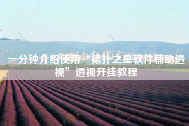 一分钟介绍使用“德扑之星软件辅助透视	”透视开挂教程