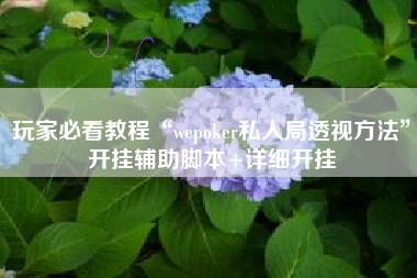 玩家必看教程“wepoker私人局透视方法”开挂辅助脚本+详细开挂
