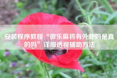 安装程序教程“微乐麻将有外卦吗是真的吗”详细透视辅助方法