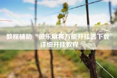 教程辅助“微乐麻将万能开挂器下载”详细开挂教程